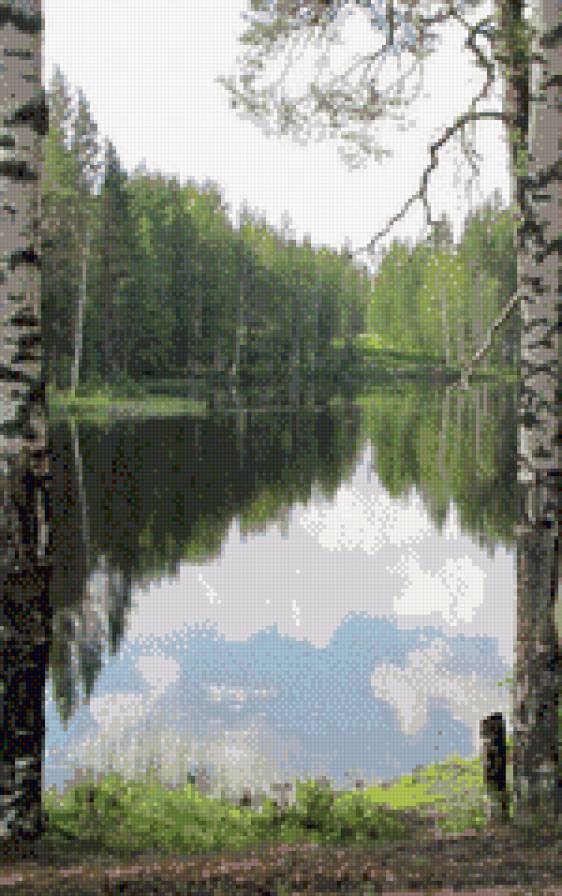 Тишина у реки - березы, вода, небо, природа - предпросмотр