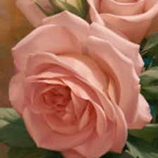 Схема вышивки «розы»