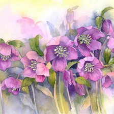 Схема вышивки «Крастота цветов»