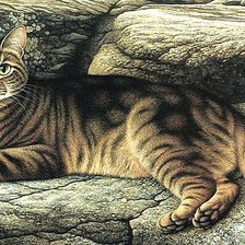 Схема вышивки «Полосатый кот»