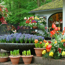 Схема вышивки «сад»