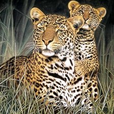 Схема вышивки «Серия "Хищники"»