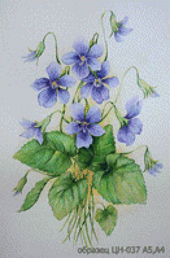 №531023 - предпросмотр