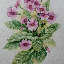 Схема вышивки «№531030»