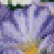 Предпросмотр схемы вышивки «№531043»