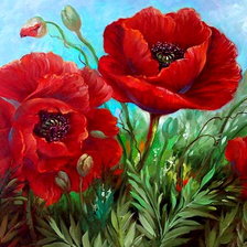 Схема вышивки «маки»