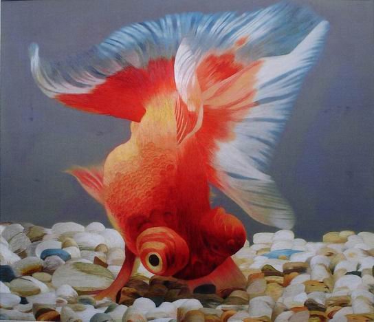 Золотая рыбка - рыбки - оригинал