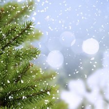 Схема вышивки «Зима»