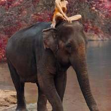 Схема вышивки «№531544»