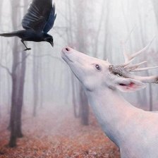 Схема вышивки «№531546»