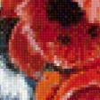 Предпросмотр схемы вышивки «Букет с маками» (№531561)