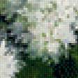 Предпросмотр схемы вышивки «Букет с белой сиренью» (№531562)