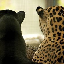 Схема вышивки «№531576»