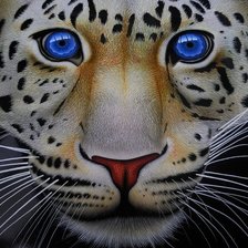 большая кошка