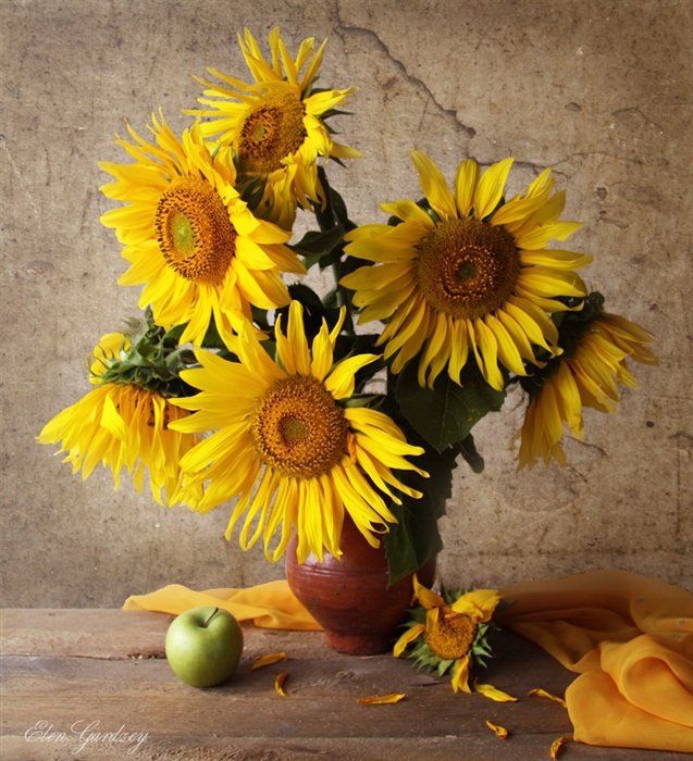 Подсолнухи - подсолнухи, цветы, натюрморт - оригинал