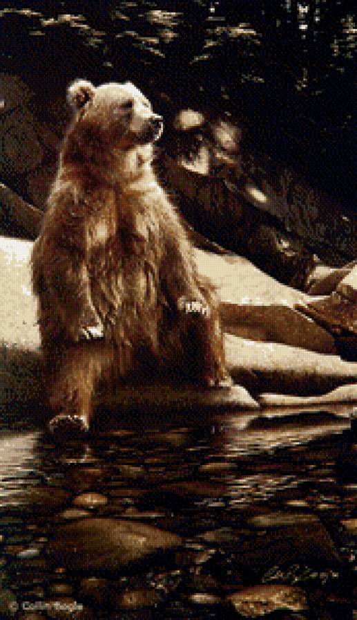 ли богл 56 медведь - лес осень, природа, ли богл, медведь, хищники - предпросмотр