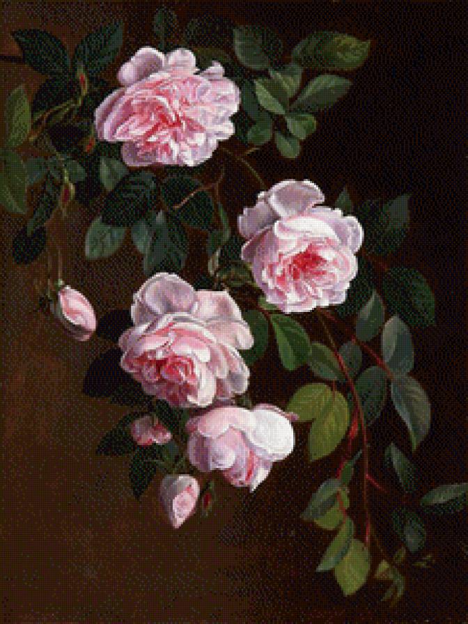 английская роза - ветка, букет, роза, цветы, природа, флора - предпросмотр