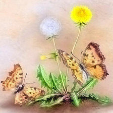 Схема вышивки «бабочки на одуванчике»