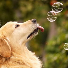 Схема вышивки «маэстро мыльных пузырей»