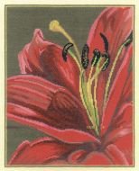 Схема вышивки «Лилия»