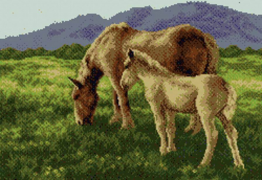 лошадь с жеребенком - лошадь, кони - предпросмотр