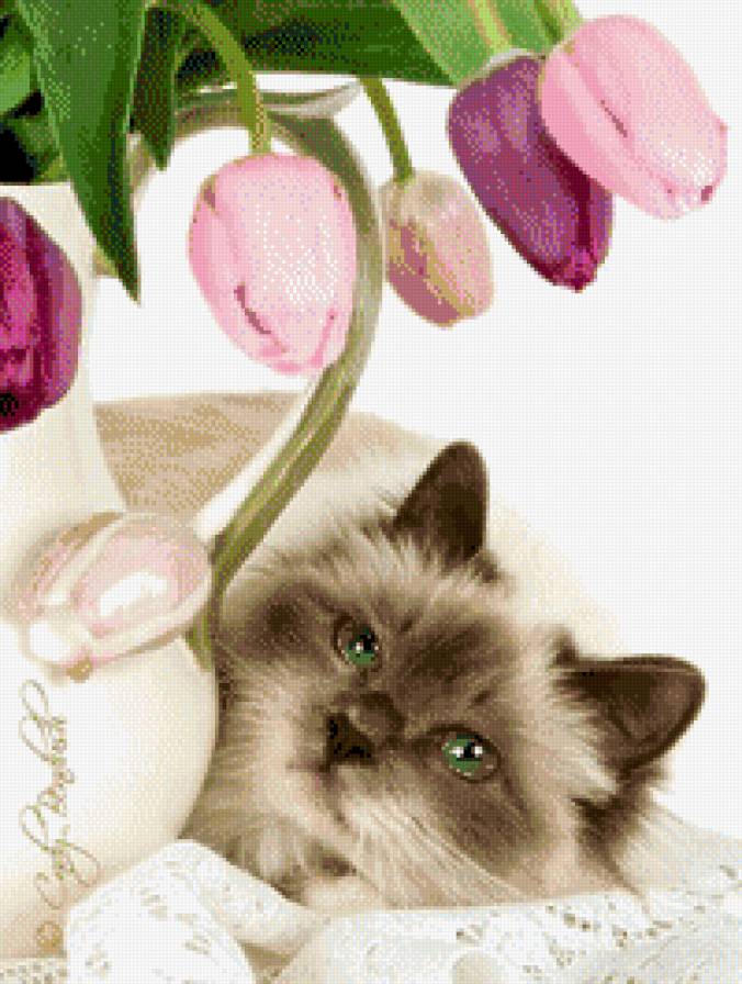 Котик - кошки, животные - предпросмотр