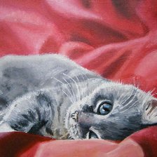 Схема вышивки «Котёнок»