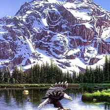 Схема вышивки «Полет орла»