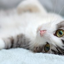 Схема вышивки «к2»