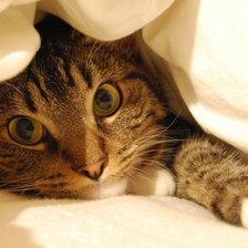 Схема вышивки «к3»