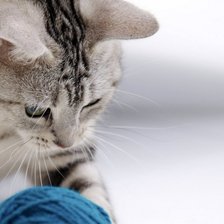 Схема вышивки «к4»