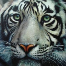 Схема вышивки «т3»