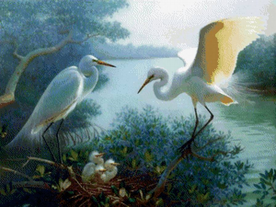 белые цапли - пара, гнездо, птицы, река, лес, природа, цапли, берег, журавли - предпросмотр
