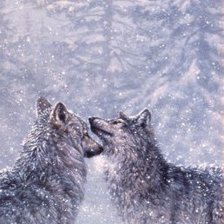 Схема вышивки «волки снегопад»