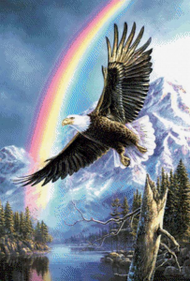 орел - орлы, животные, птицы - предпросмотр