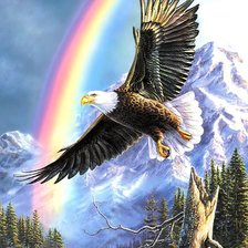 Схема вышивки «орел»