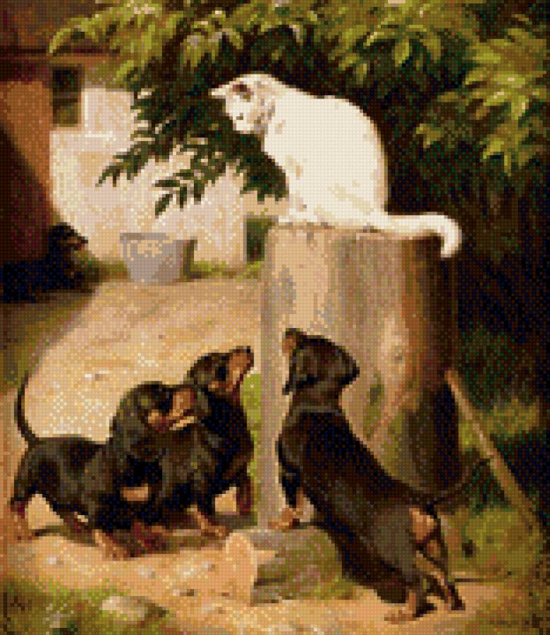 таксы и кот - животные, собаки - предпросмотр