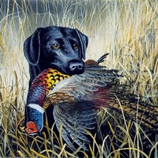 Схема вышивки «охота»