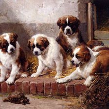 Схема вышивки «любопытные щенки»