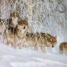 Схема вышивки «волчья тропа»