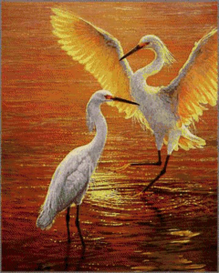 журавли закат - журавли, заря, закат, нежность, природа, птицы, река, озеро - предпросмотр