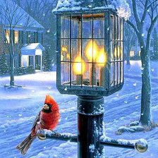 Схема вышивки «зимородок»