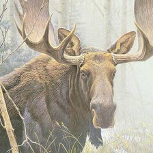 Схема вышивки «Лось»