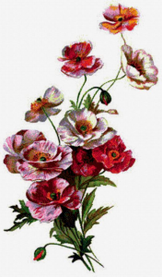 маки - ветка, гирлянда, природа, букет, маки, венок, цветы - предпросмотр