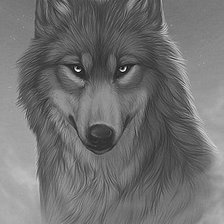 Схема вышивки «Волчий взгляд (живопись)»