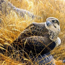 Схема вышивки «Зоркий взгляд...(живопись)»