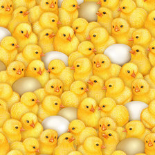 Схема вышивки «цыплята лучшее!!»