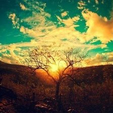 Схема вышивки «Природа»