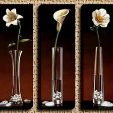 Схема вышивки «триптих  белые цветы»