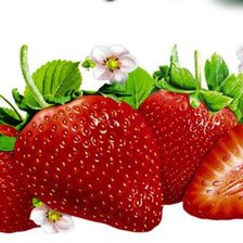 Схема вышивки «№532512»